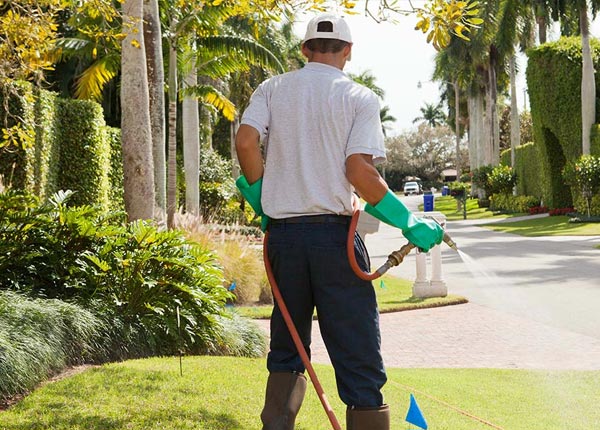 About Rush CO Pest Control Pros